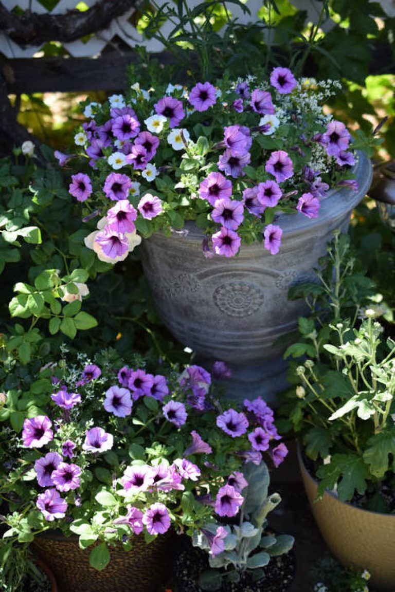 How to Stop Budworms from Eating Your Flowers