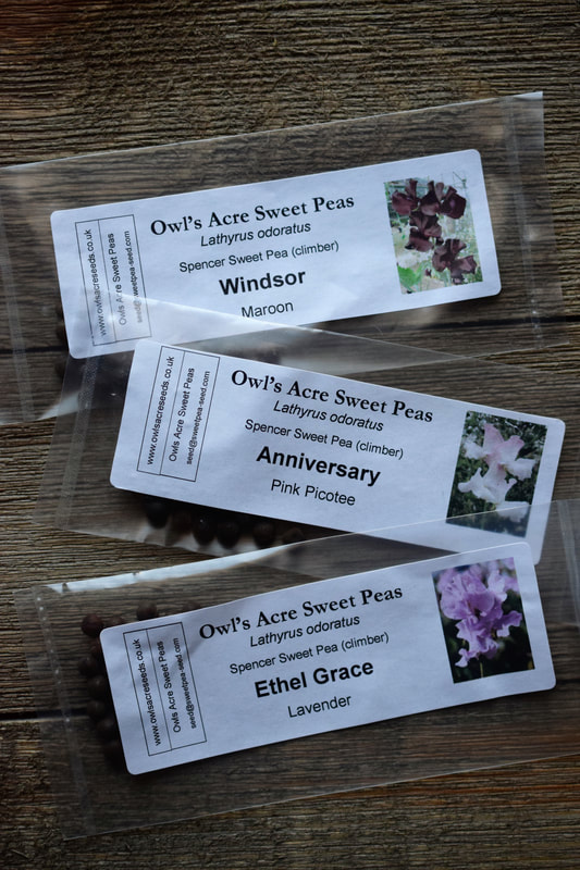 Sweet Pea Seed Packets from Owl's Acre
