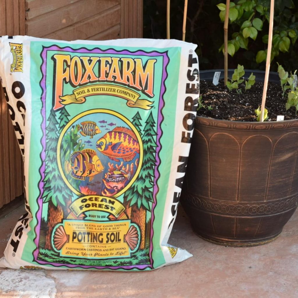 Sweet pea container next to FoxFarm potting soil bag for size comparison