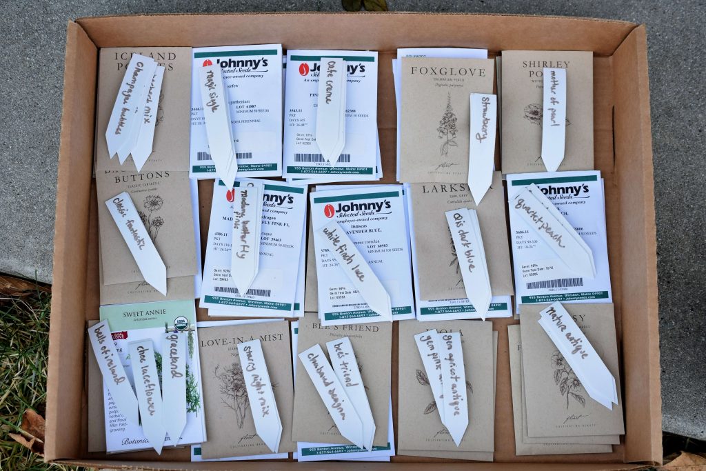 Seed packets ready for winter sowing.