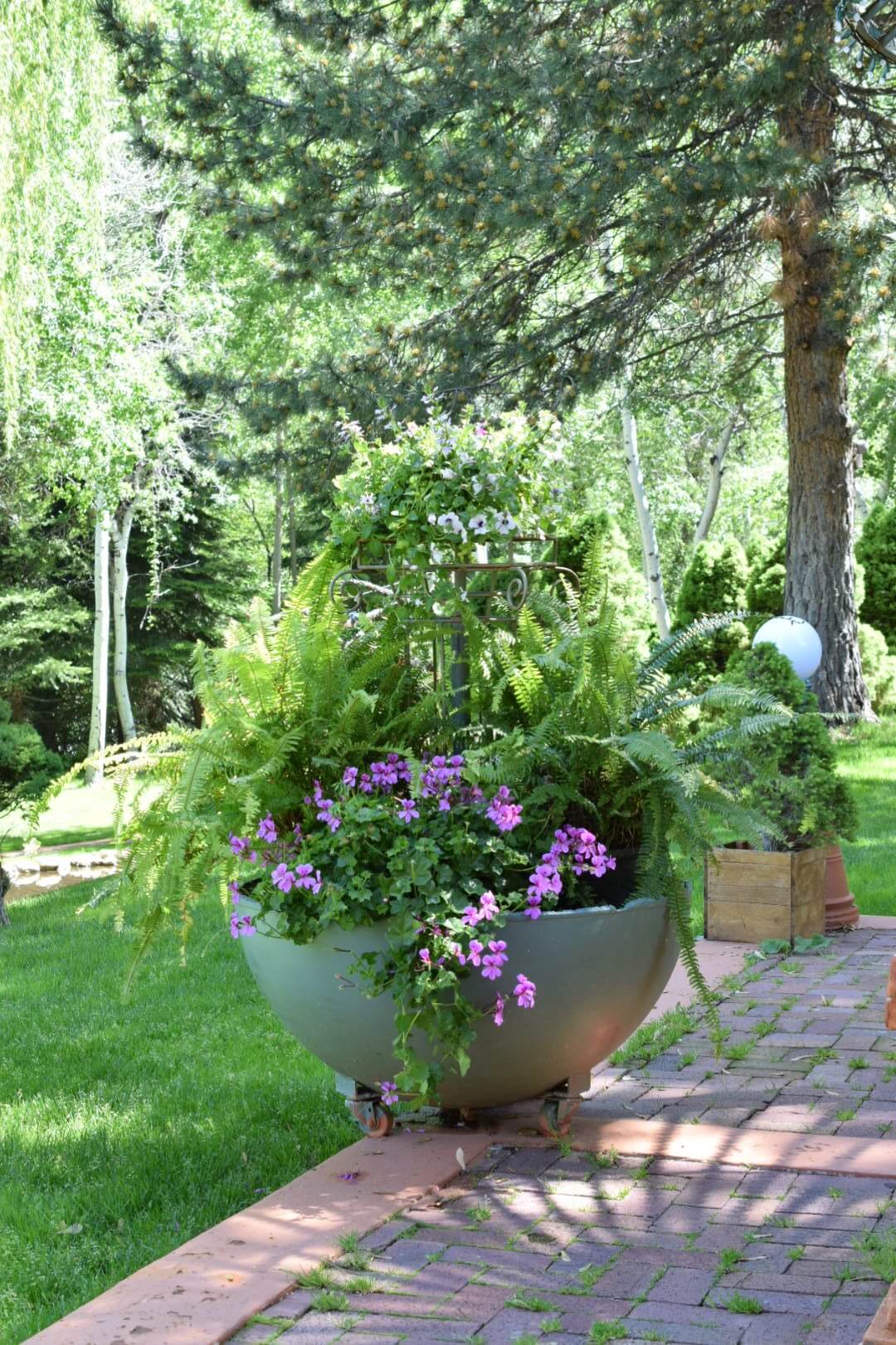 How to Keep Your Container Garden Alive in Summer’s Heat